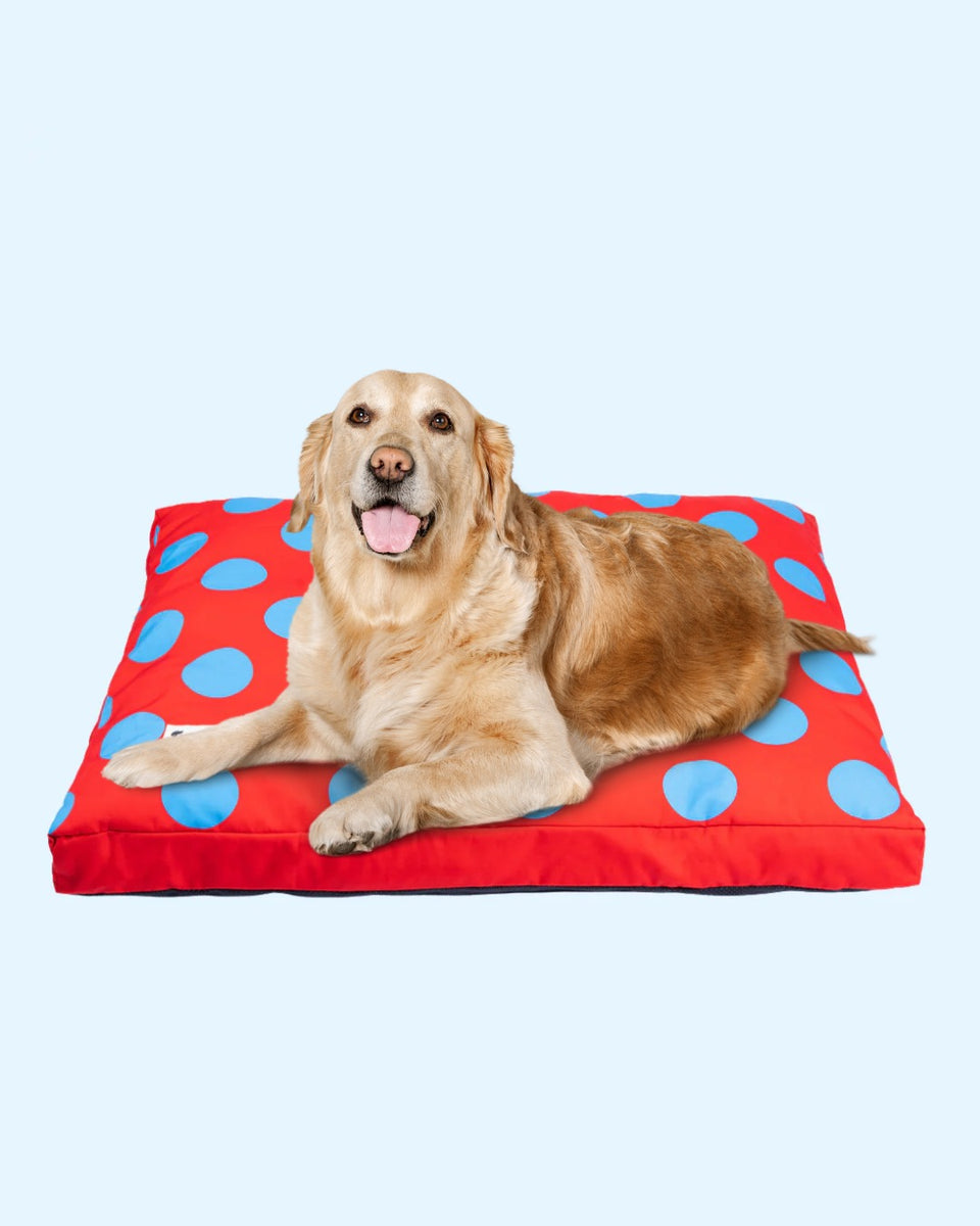 Stripes Flat Dog Bed – Cozy, Washable & Durable by Pet Set Go