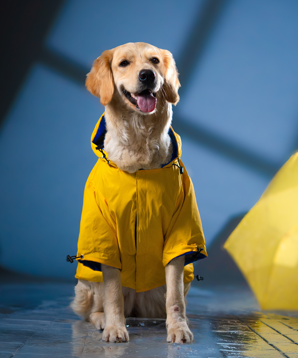  Pet Raincoat 