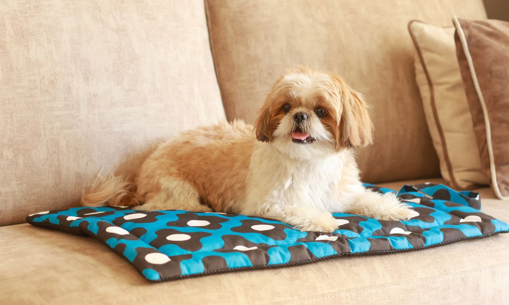 How to Clean and Maintain Your Pet Mat for Longevity