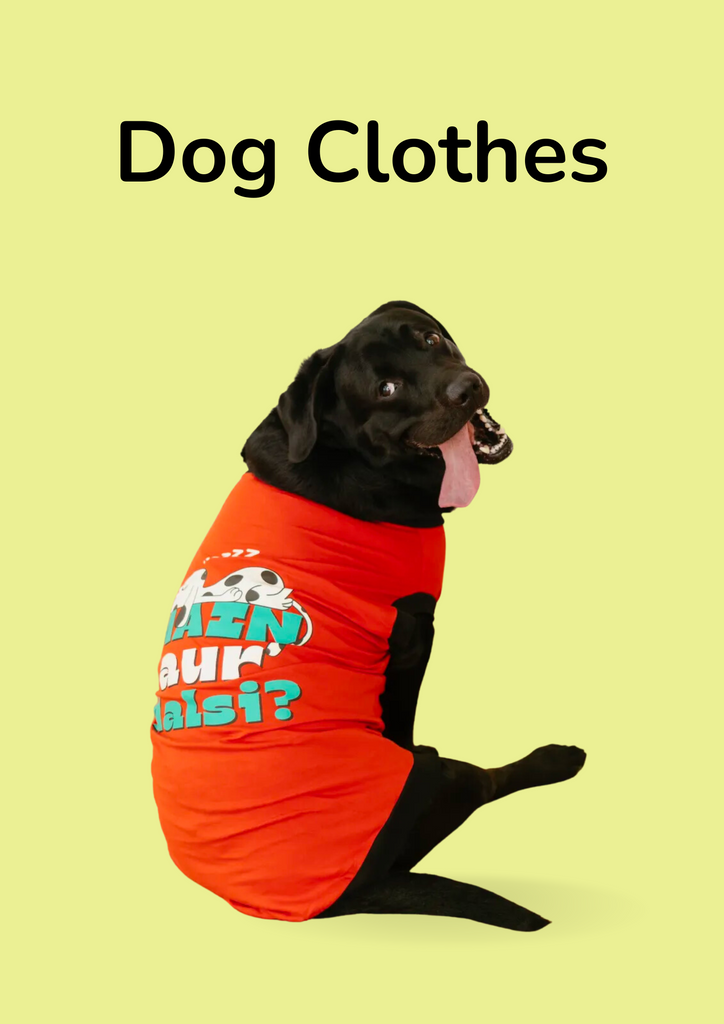 Dog Clothes