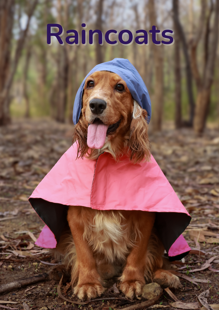 Raincoats