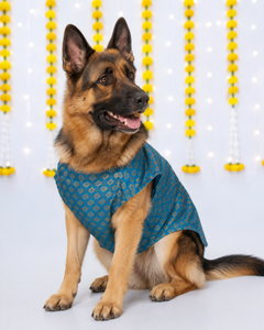 Dog Kurta with Bowtie Blue
