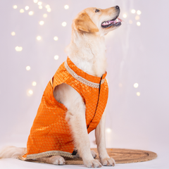 Pet Set Go Dog Kurta (Bright Orange)