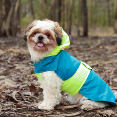 Drop Dog Raincoats Pack of 2