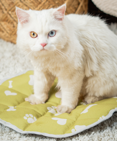 Cat Mat