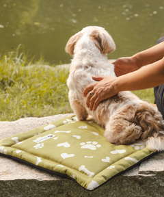 Paws & Bones Heaven Pet Mat