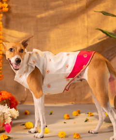 White-Pink Dog Kurta