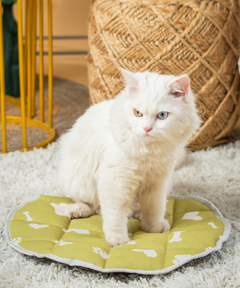 Cat Mat