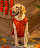 Dog Kurta with Bowtie KumKum