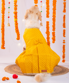 Festive Brocade Dog Dress (Yellow)