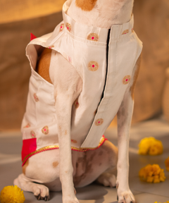 White-Pink Dog Kurta