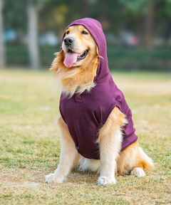 Plum Dog Hoodie