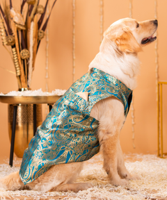 Cute Dog Kurtas Pack of 2