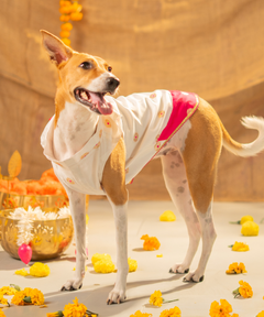 White-Pink Dog Kurta