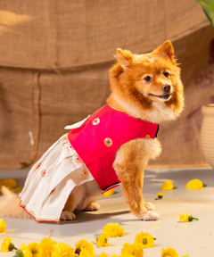 White-Pink Dog Dress