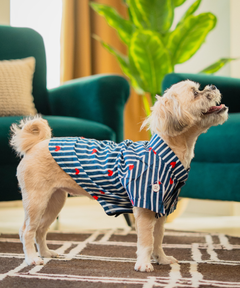 Sweetheart Stripes Shirt