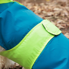 Drop Dog Raincoats Pack of 2