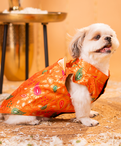 Floral Dog Kurta with Pocket Square