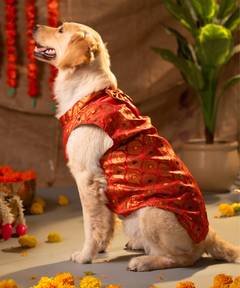 Dog Kurta with Bowtie KumKum