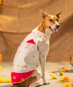 White-Pink Dog Kurta