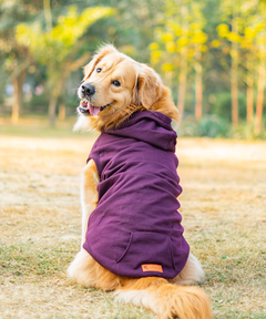 Plum Dog Hoodie