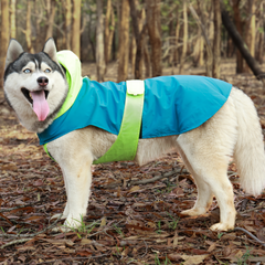 Drop Dog Raincoats Pack of 2