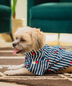 Sweetheart Stripes Shirt