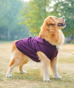 Plum Dog Hoodie