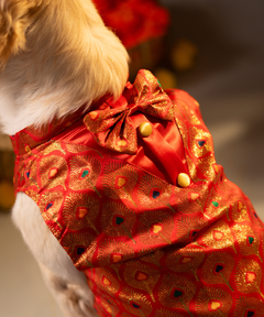 Dog Kurta with Bowtie KumKum