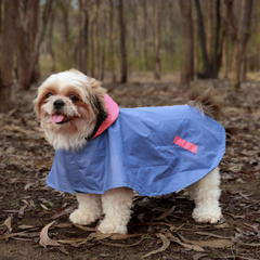 Drizzle Dog Raincoats Pack of 2