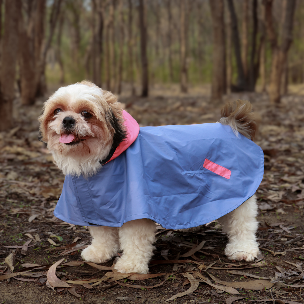 Dual Colour Cape Dog Raincoat Cornflower Blue – Pet Set Go