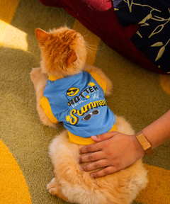 Hotter than summer blue Cat T-shirt