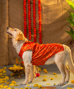 Dog Kurta with Bowtie KumKum