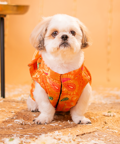 Elegant Dog Kurtas Pack of 2