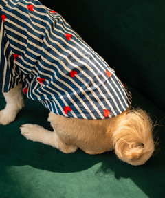 Sweetheart Stripes Shirt