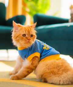 Hotter than summer blue Cat T-shirt