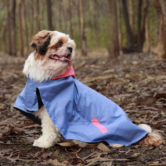 Cape Style Cornflower Blue- Dog Raincoat