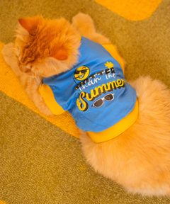 Hotter than summer blue Cat T-shirt