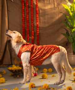 Dog Kurta with Bowtie KumKum