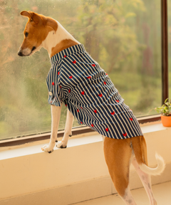 Sweetheart Stripes Shirt