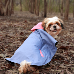 Cape Style Cornflower Blue- Dog Raincoat