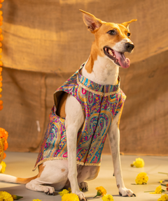Dog Kurta with Pocket Square Neelam