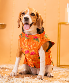 Floral Dog Kurta with Pocket Square