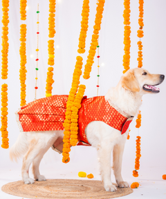 Festive Brocade Dog Dress (Red)