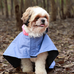 Cape Style Cornflower Blue- Dog Raincoat