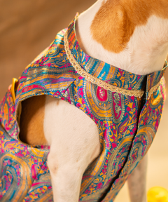 Dog Kurta with Pocket Square Neelam