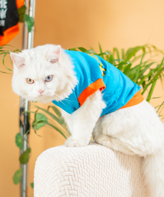 Giraffe Cat T-shirt