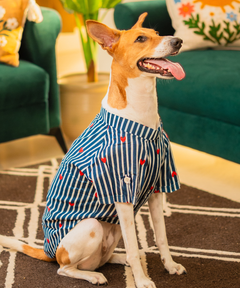Sweetheart Stripes Shirt