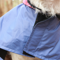 Cape Style Cornflower Blue- Dog Raincoat
