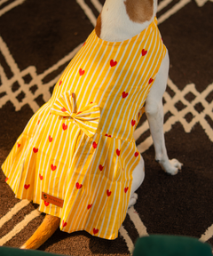 Golden Hour Dress